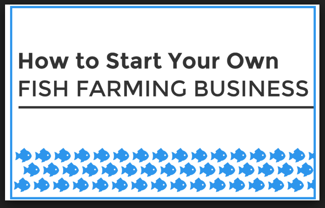 start fish farming business
