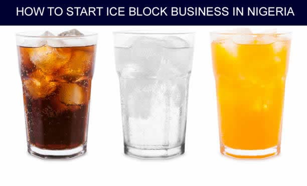 business plan for ice block production in nigeria