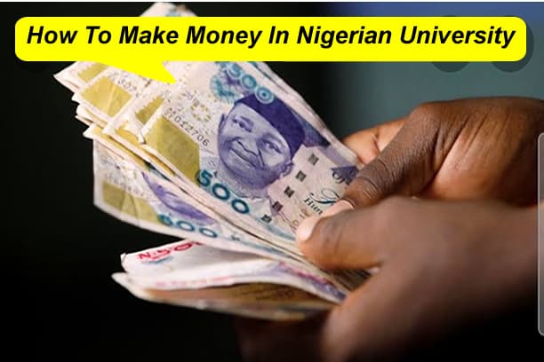 How To Make Money In Nigerian University