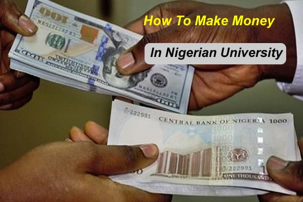 How To Make Money In Nigerian University