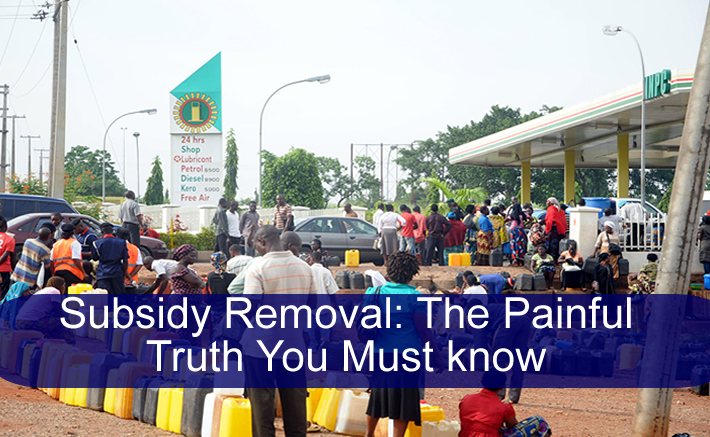 Subsidy Removal: A Wise Policy or a Detrimental Error?